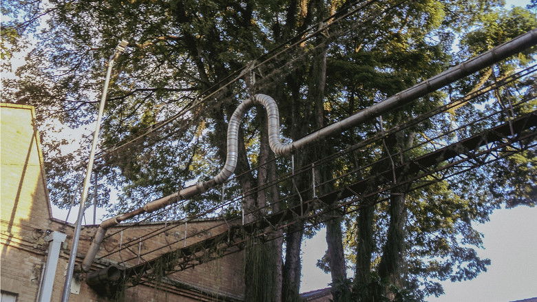 кадр из фильма o céu diante dos meus olhos nunca é cinza