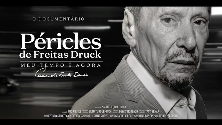 кадр из фильма Péricles de Freitas Druck - Meu Tempo é Agora