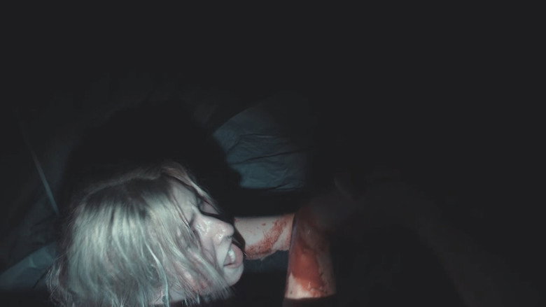 кадр из фильма Shadows of Bigfoot