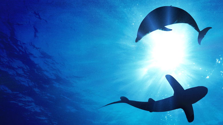 кадр из фильма Sharks vs. Dolphins: Blood Battle