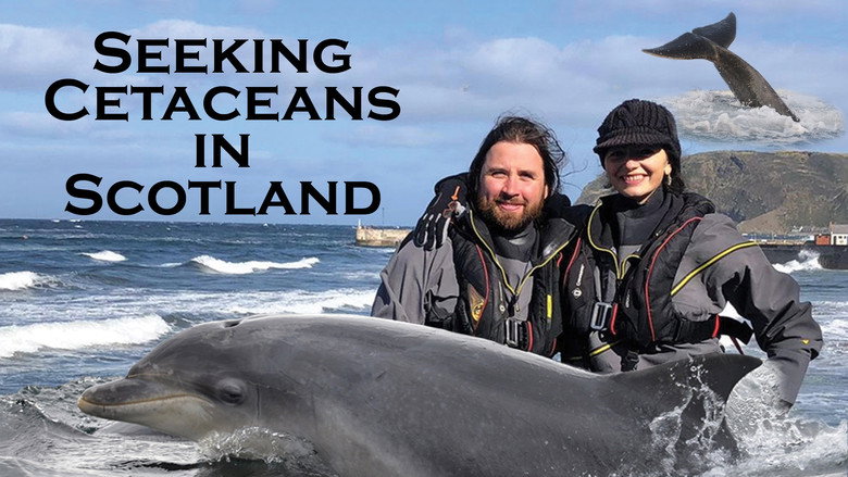кадр из фильма Seeking Cetaceans In Scotland