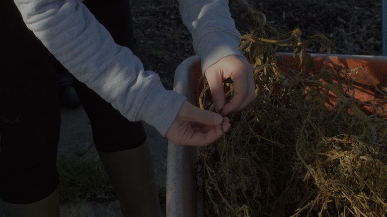 кадр из фильма 擇鳥記