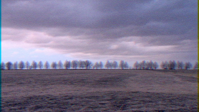 кадр из фильма Pig Man