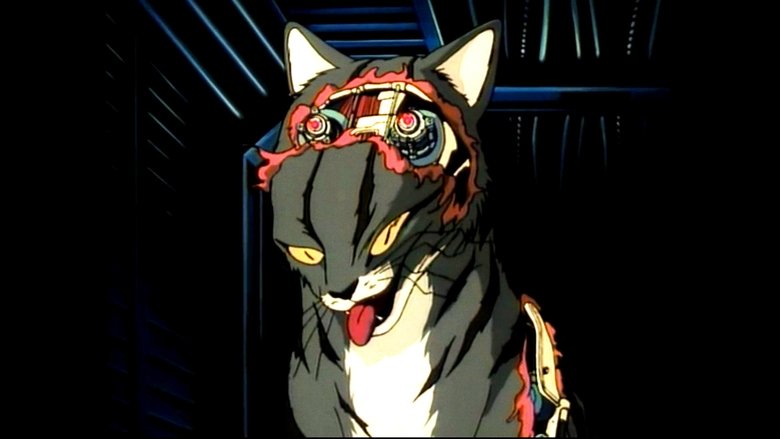 кадр из фильма Кошка по имени Лили