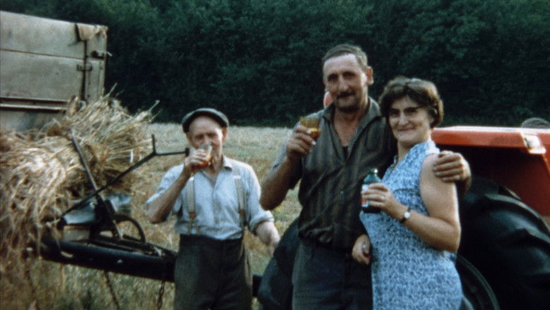 кадр из фильма Mémé