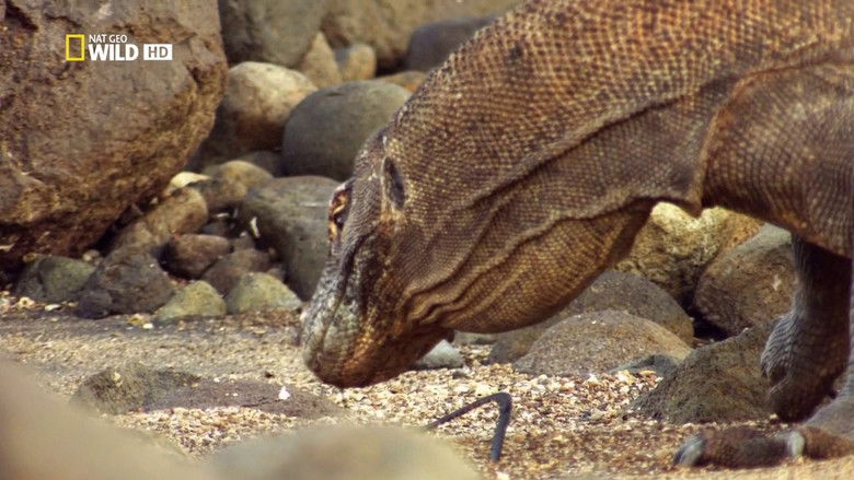 кадр из фильма Venom Islands