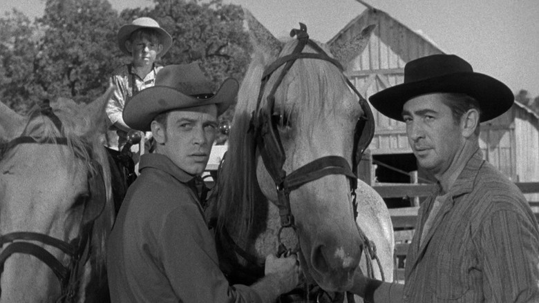 кадр из фильма Stranger at My Door