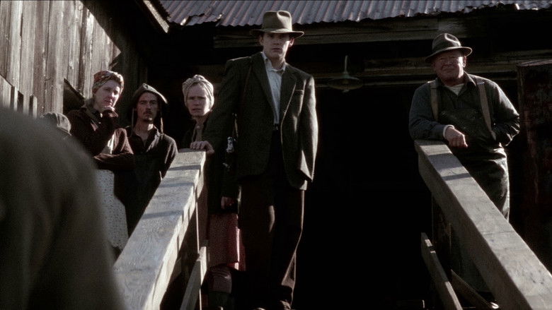 Заснеженные кедры