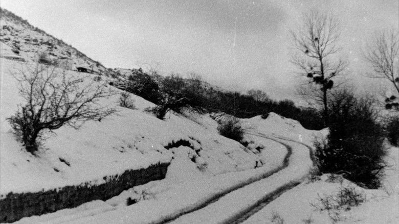 кадр из фильма Libertad