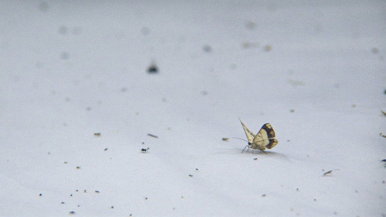 кадр из фильма Night Colonies