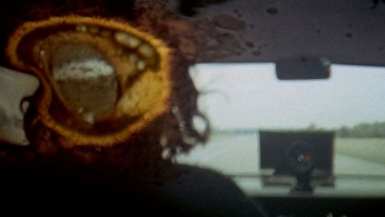 кадр из фильма Двухполосное шоссе