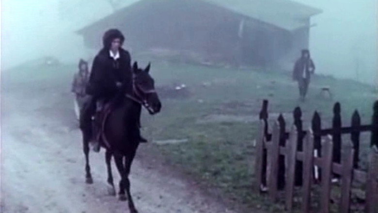 кадр из фильма Frankenstein : Une histoire d'amour