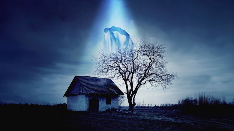 кадр из фильма Beyond the Grave