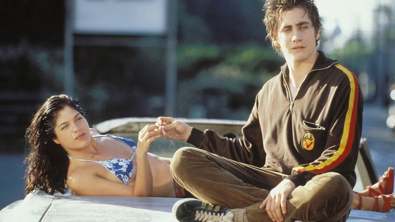 кадр из фильма Шоссе