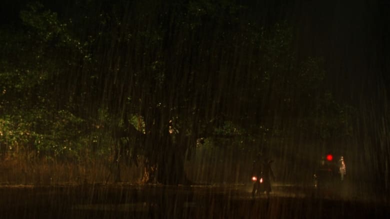 кадр из фильма Свадьба в сезон дождей