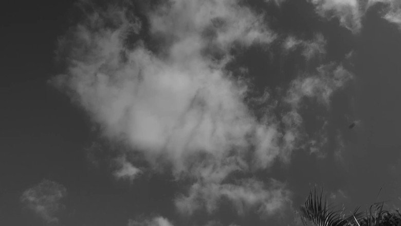 кадр из фильма A film about nothing