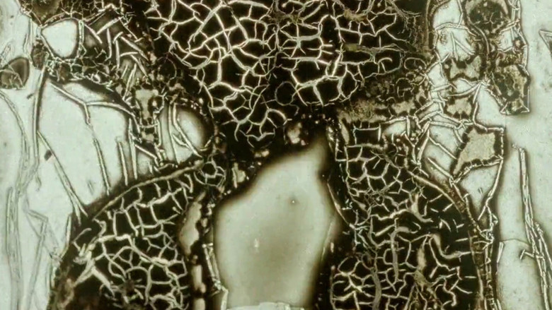 кадр из фильма Instabile Materie