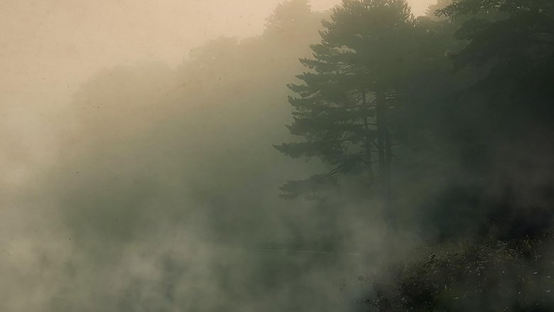 кадр из фильма Devil in the Ozarks