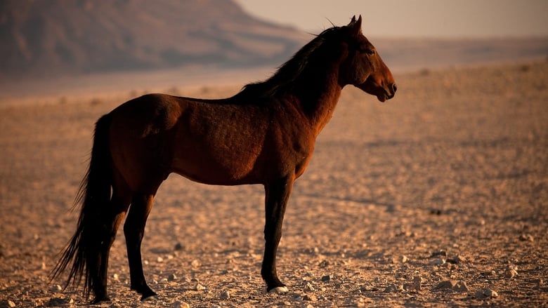 кадр из фильма Africa's Wild West