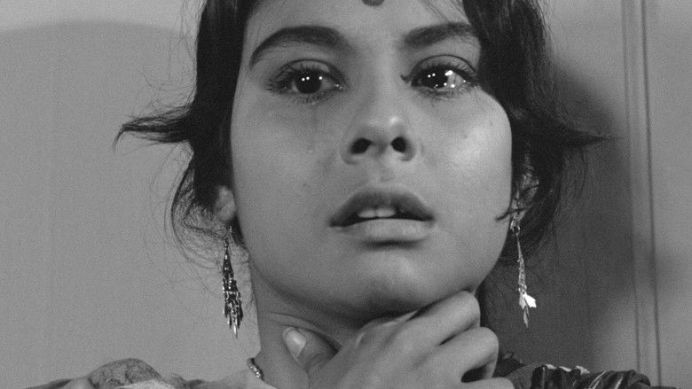 кадр из фильма Чарулота