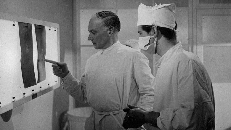 кадр из фильма Narkos