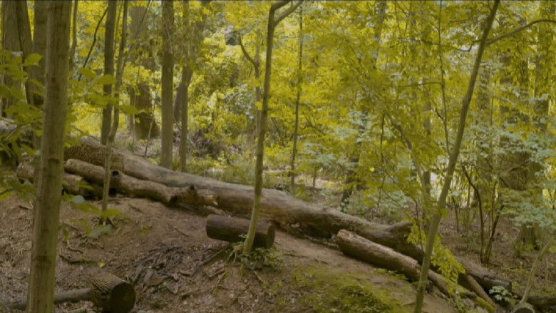 кадр из фильма Eaglehood