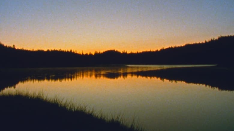 кадр из фильма Jasper Beach and The Salt Marsh