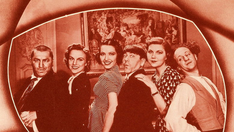 кадр из фильма Healthy, Wealthy and Dumb