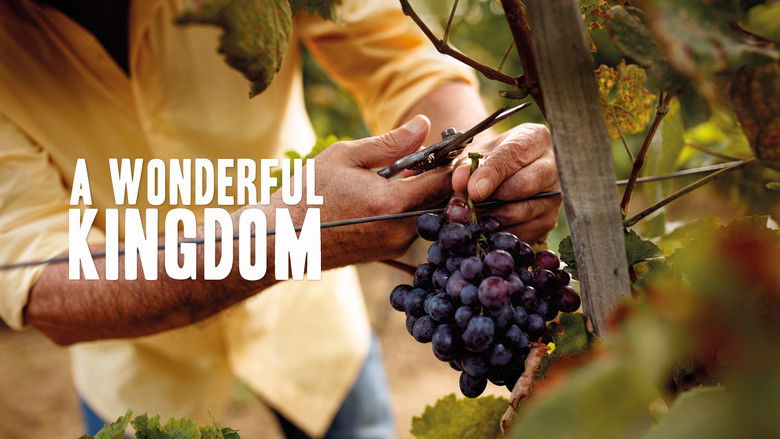кадр из фильма A Wonderful Kingdom