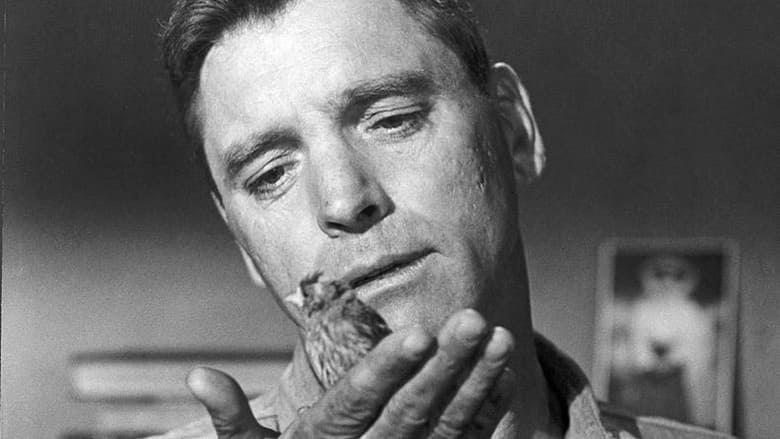 кадр из фильма Любитель птиц из Алькатраса