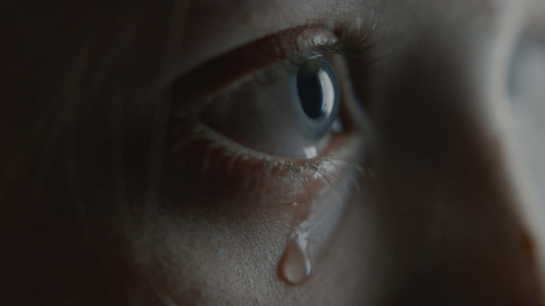 кадр из фильма Anastatica