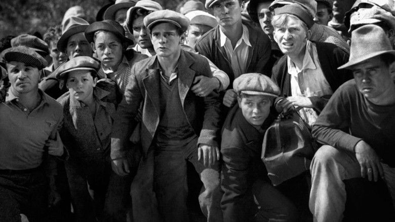 кадр из фильма Wild Boys of the Road