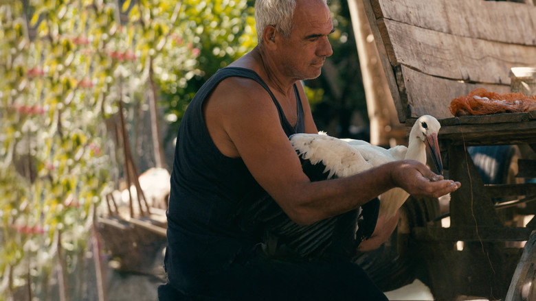 кадр из фильма Приказната за Силјан