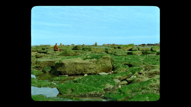 кадр из фильма Страна благоденствия