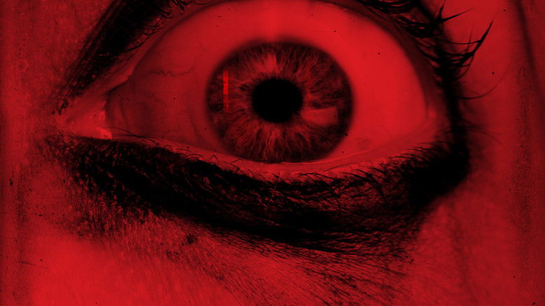 Штормовое предупреждение