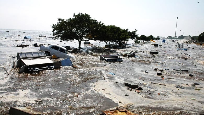 Asian Tsunami: The Deadliest Wave