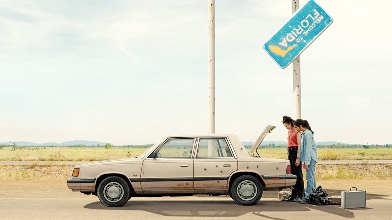 кадр из фильма Красотки в бегах