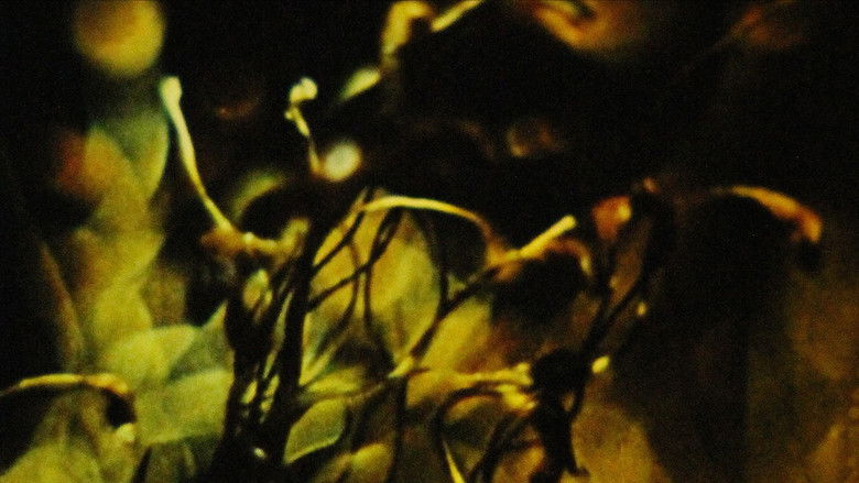 кадр из фильма A Study in Natural Magic