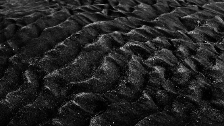 кадр из фильма Harmony Inc.