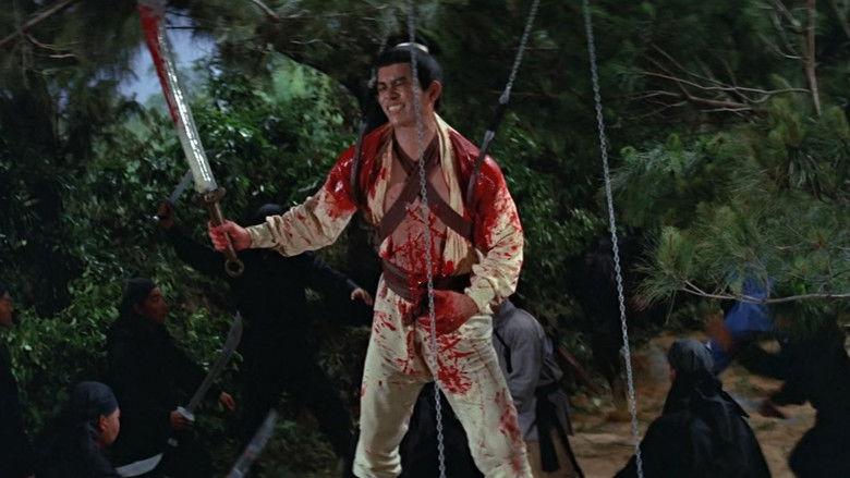 кадр из фильма 獨臂刀王