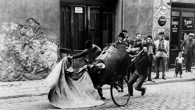 кадр из фильма 52 domingos