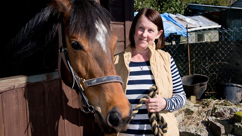 кадр из фильма Dark Horse