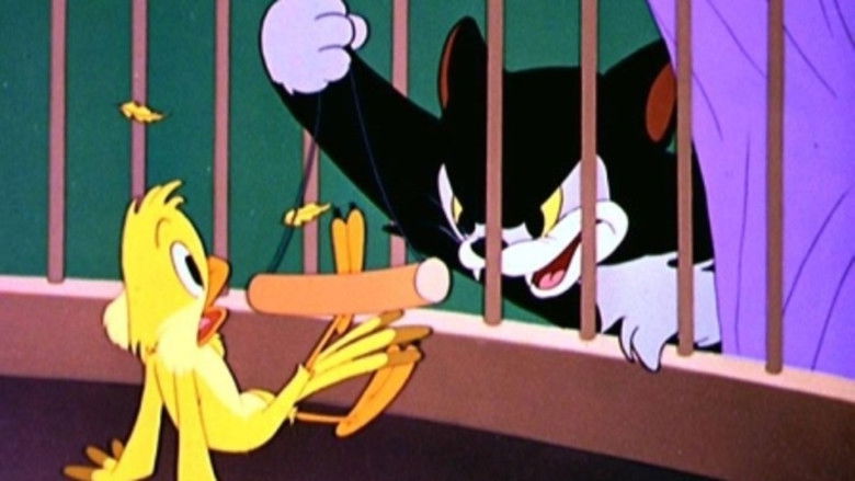 кадр из фильма Figaro and Frankie