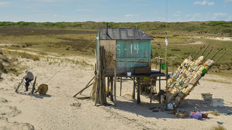 кадр из фильма De Vogelwachter