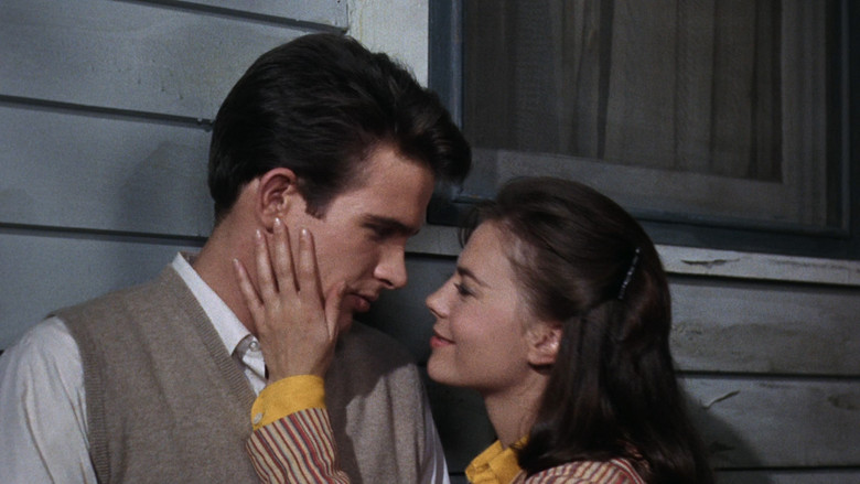 кадр из фильма Великолепие в траве