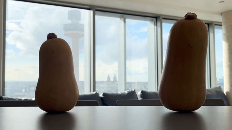 кадр из фильма Squash Your Dreams