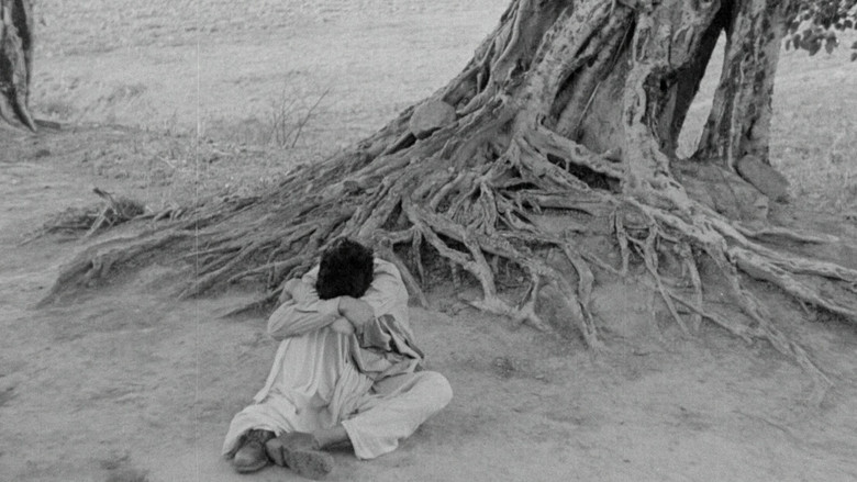 кадр из фильма Непокоренный