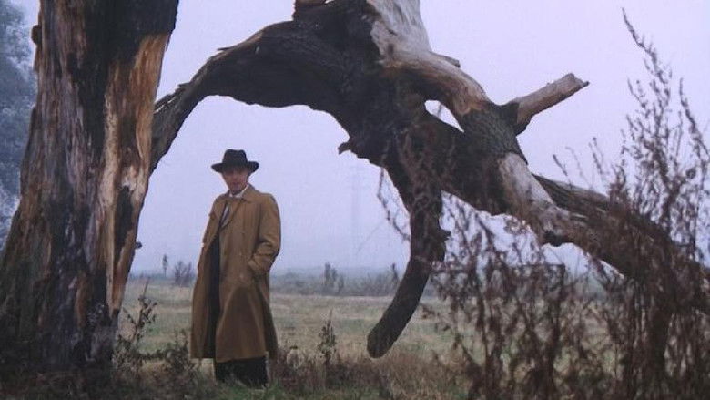 кадр из фильма Нежность волков