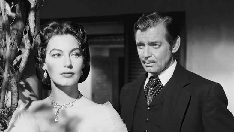 Одинокая звезда