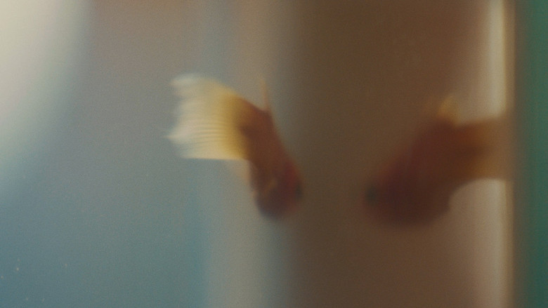 кадр из фильма JAM